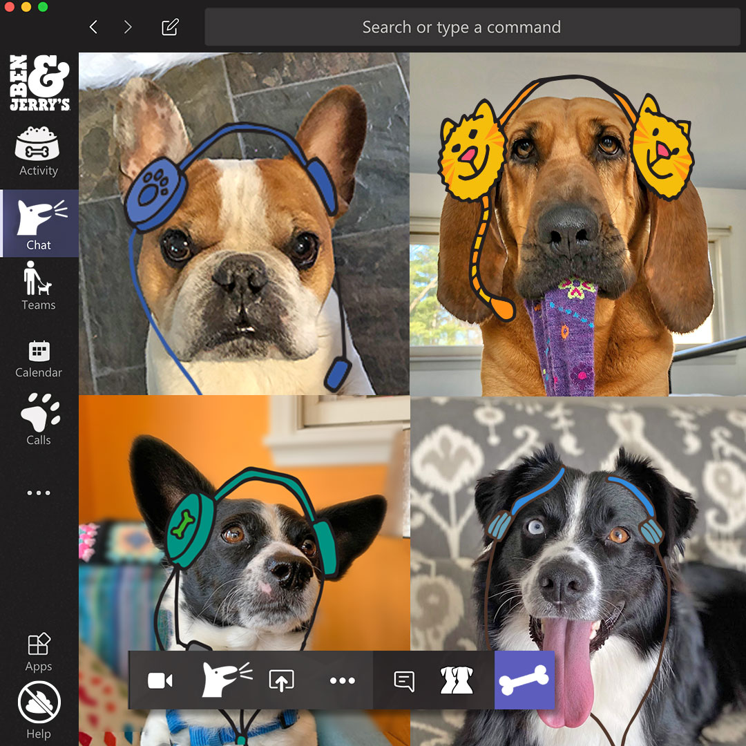 Dogs on a zoom call