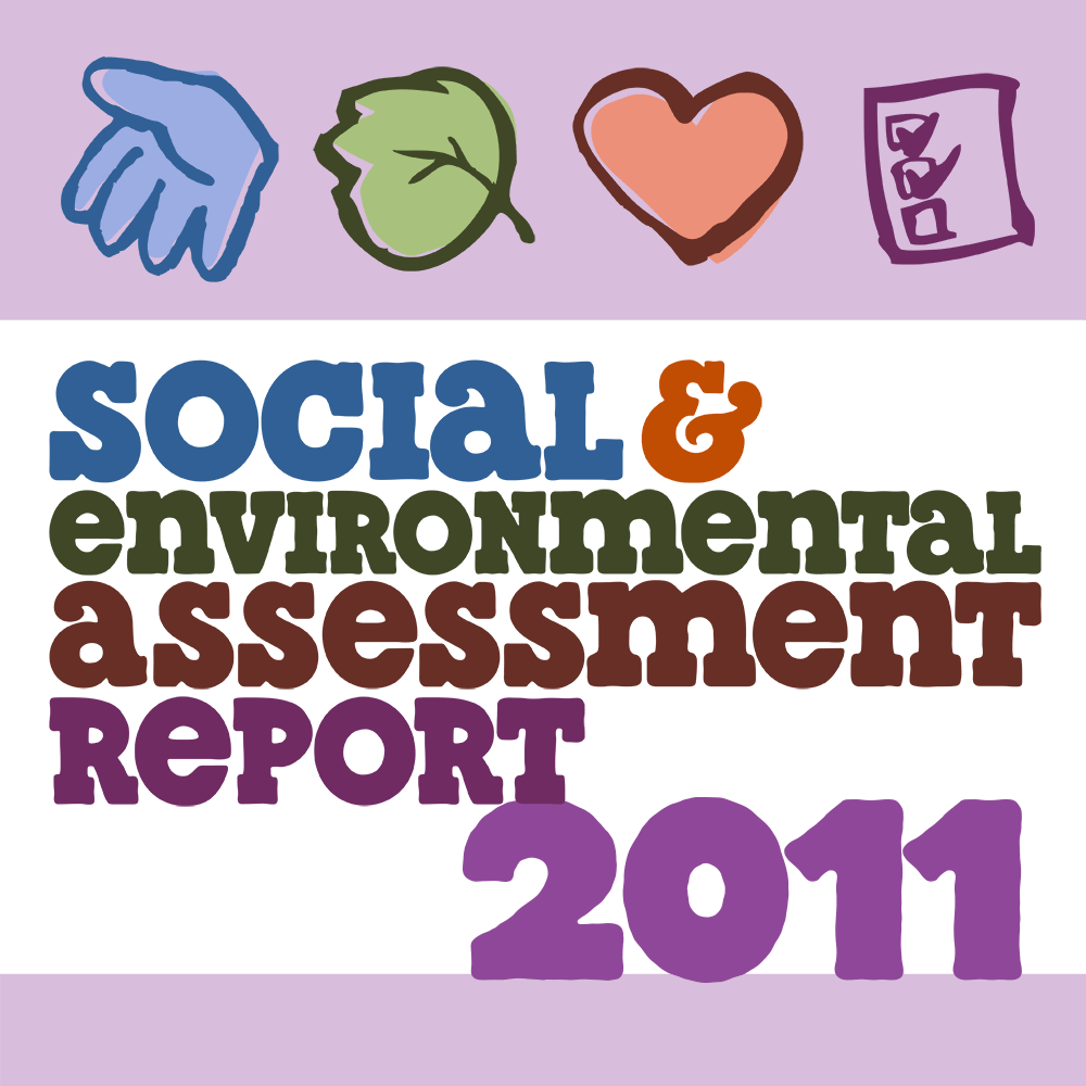 2011 SEAR Report