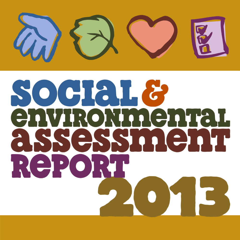 2013 SEAR Report