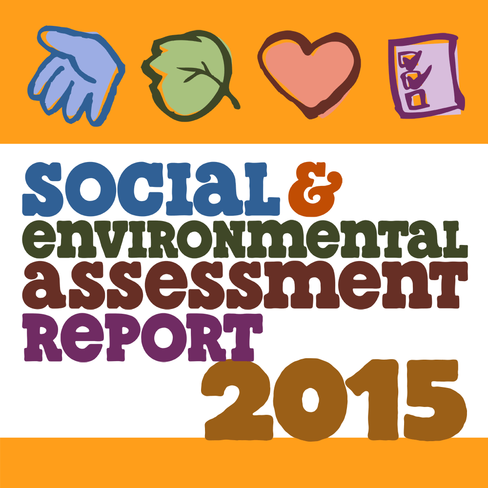 2015 SEAR Report