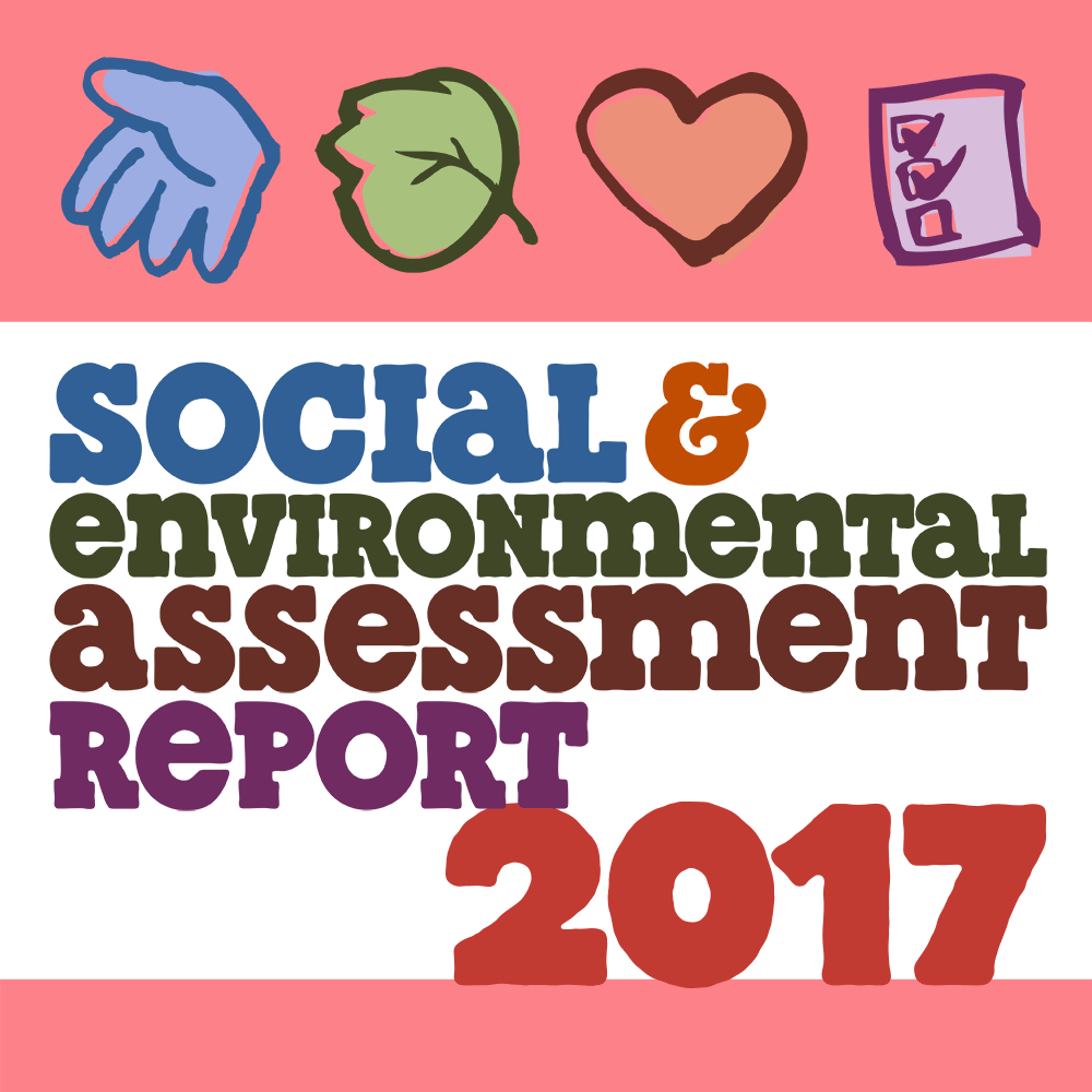 2017 SEAR Report