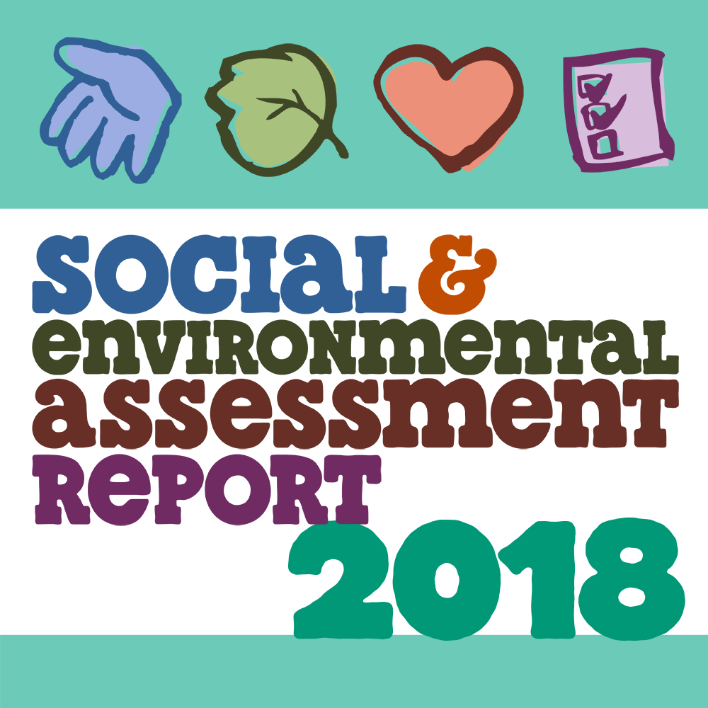 2018 SEAR Report thumbnail