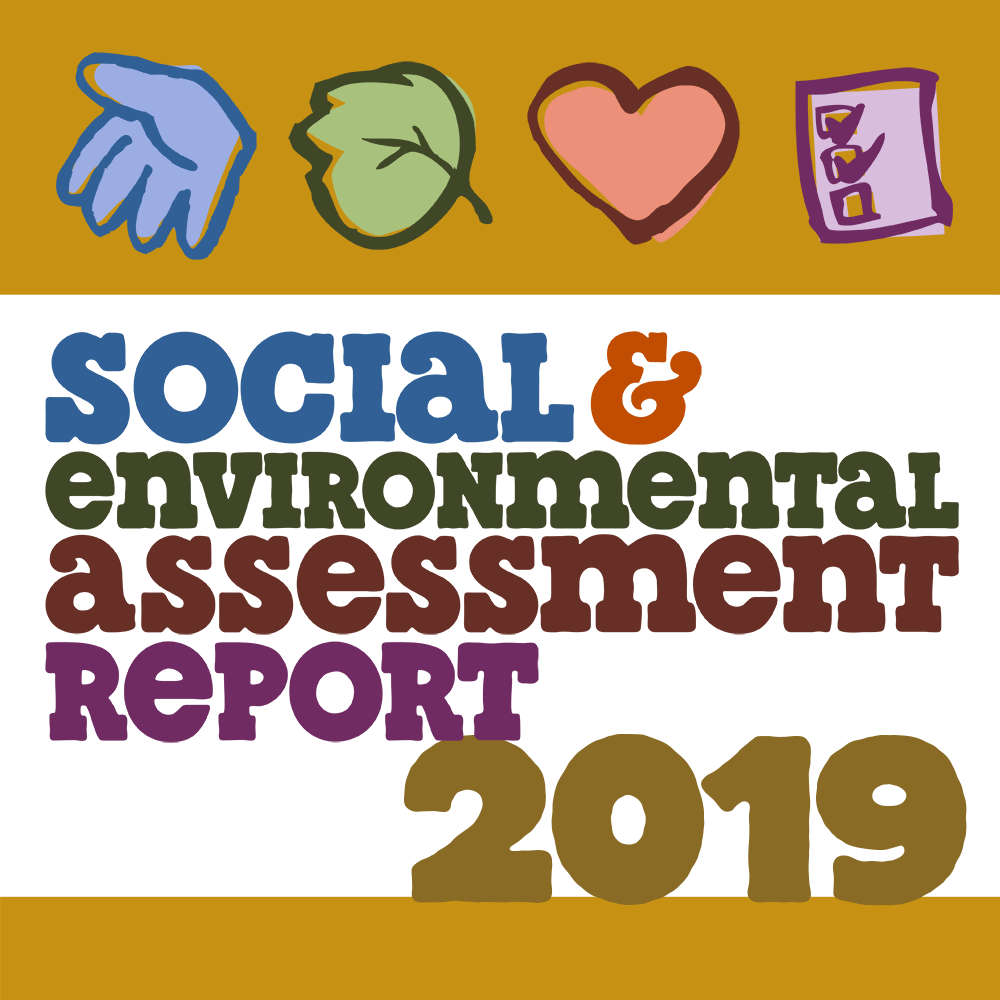 2019 SEAR Report thumbnail