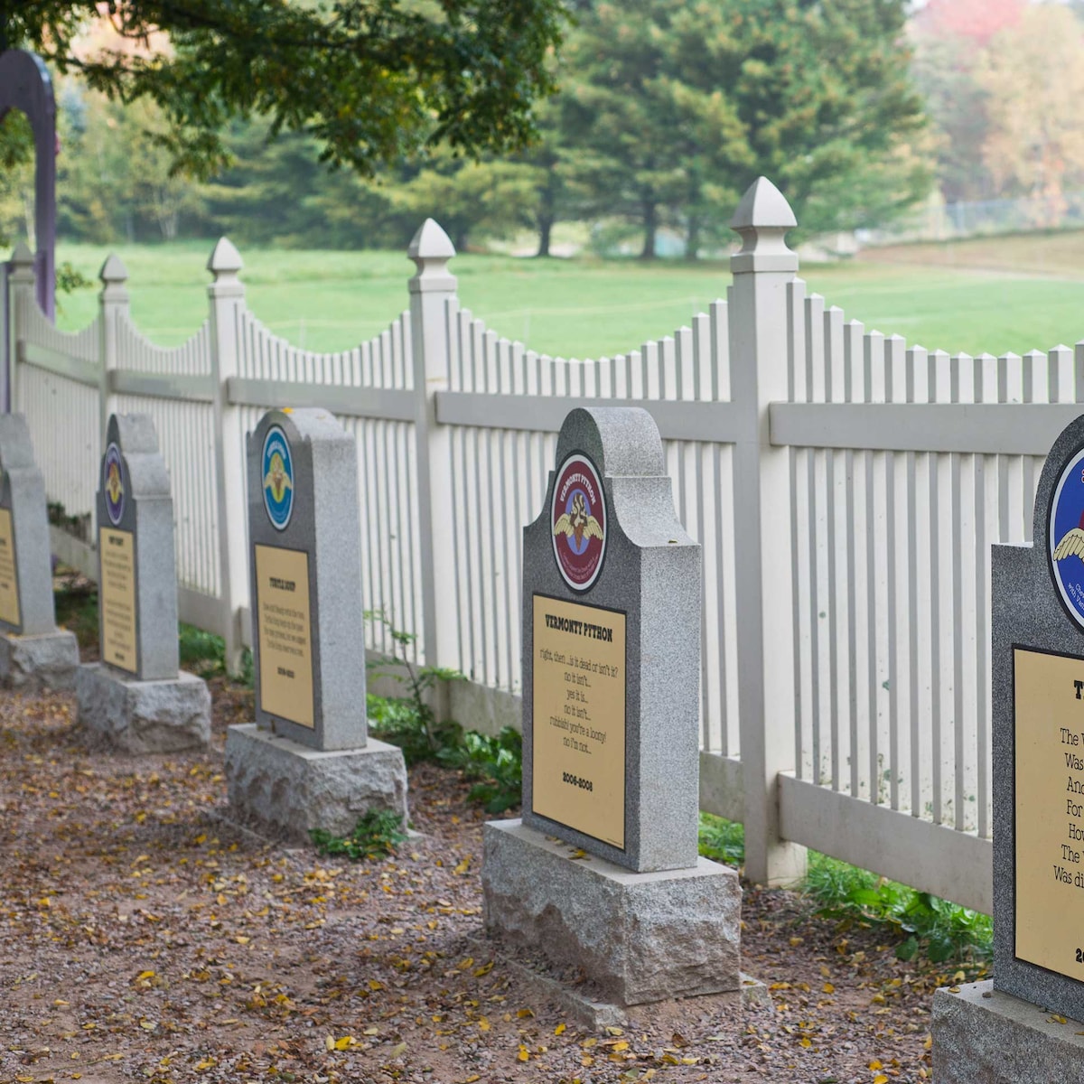 Tombstones in the Flavor Graveyard next to a fence