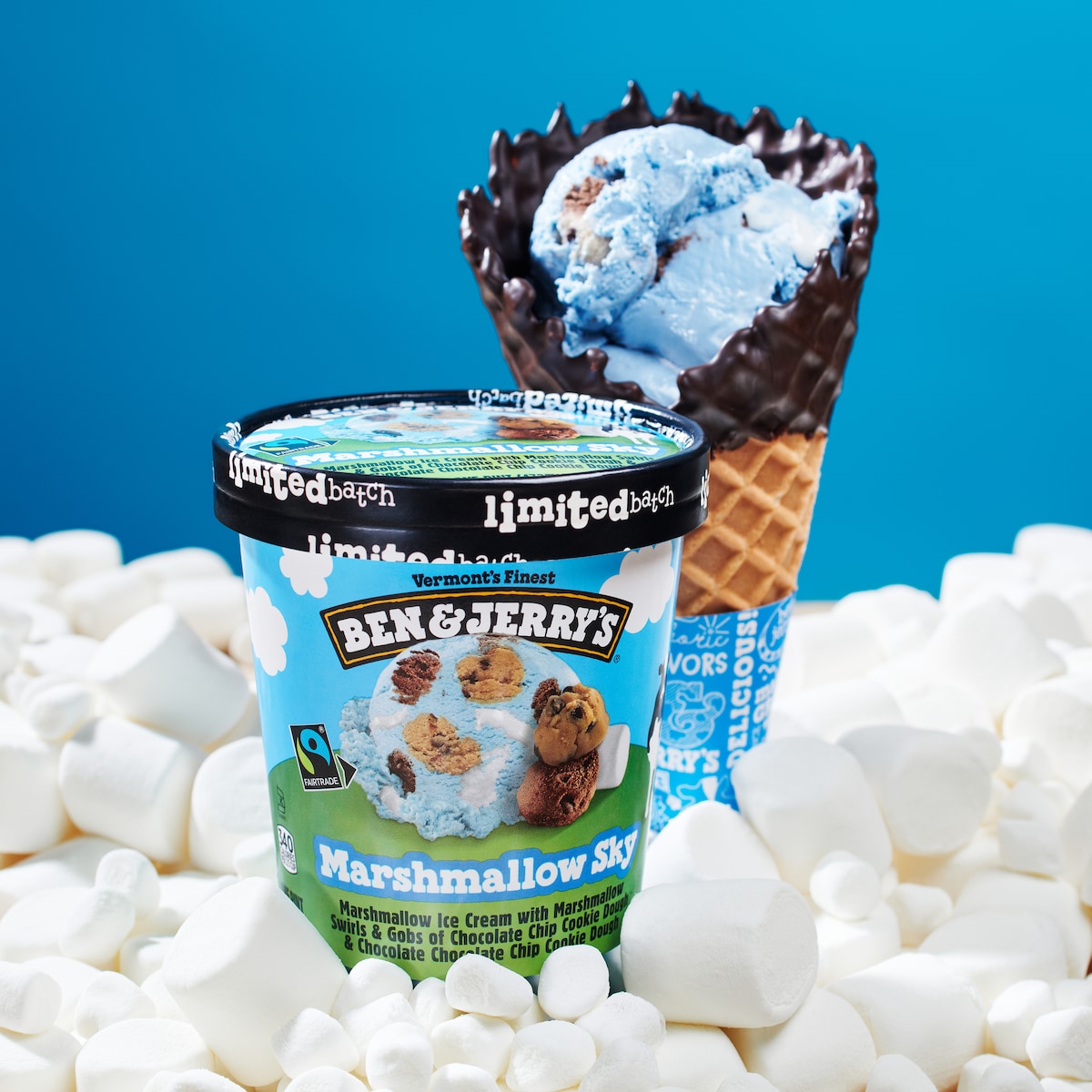 Marshmallow Sky Ice Cream - Bulk 3 / 4
