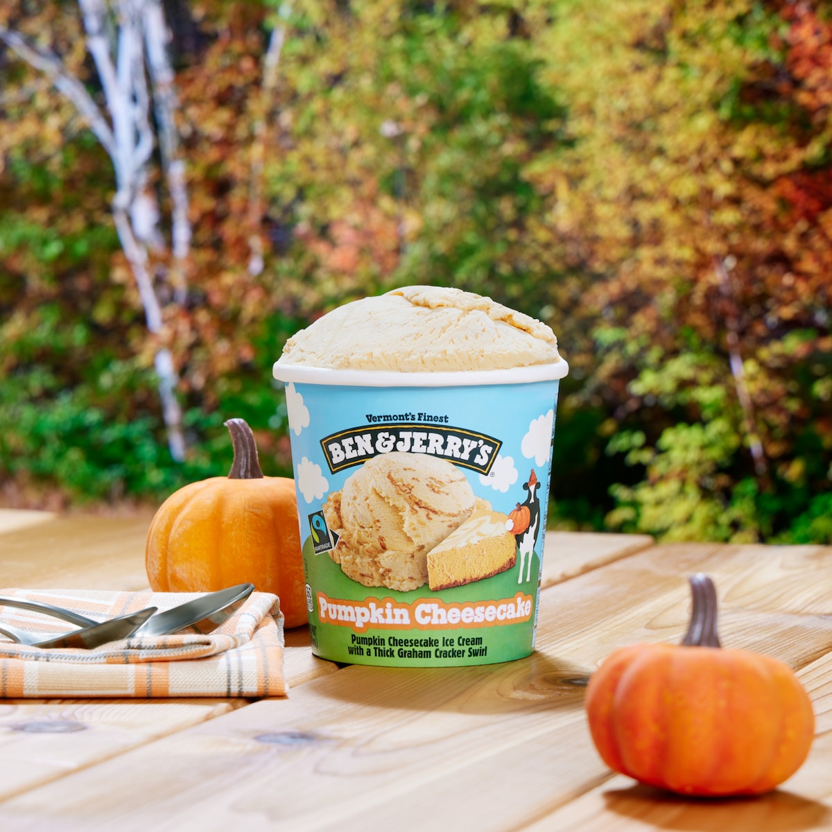 Pumpkin Cheesecake Ice Cream - Pint 3 / 4