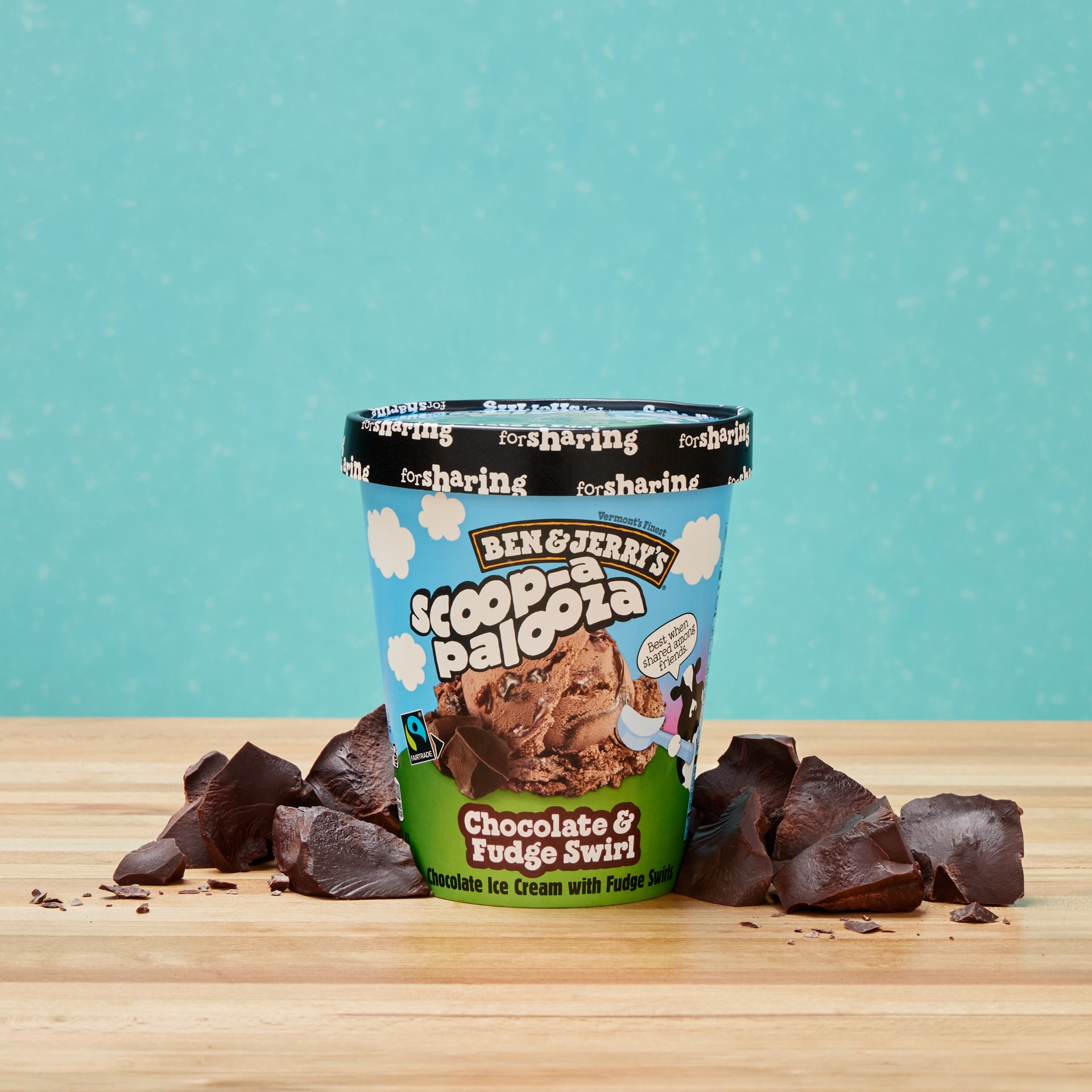 Chocolate & Fudge Swirl Scoop-apalooza 28oz