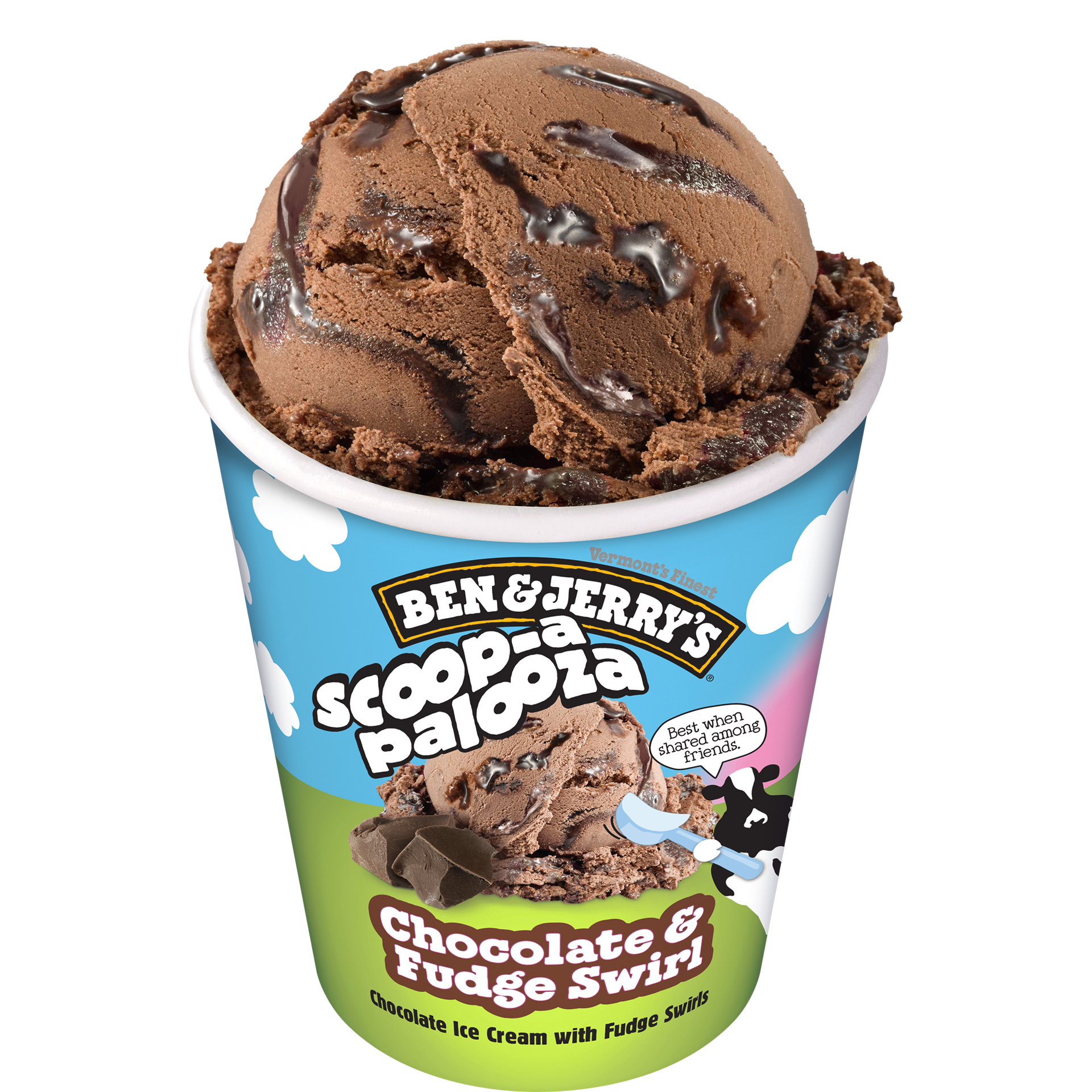 Chocolate & Fudge Swirl Scoop-apalooza 28oz