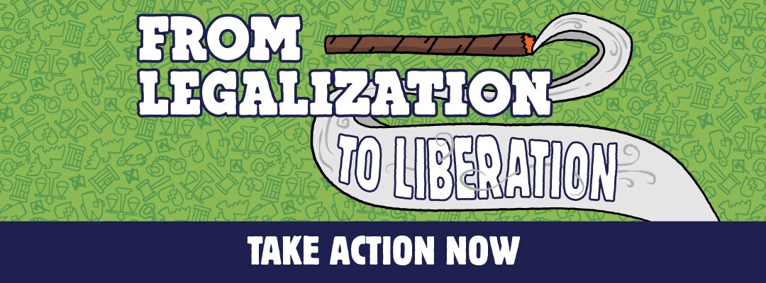 Smoke out cannabis convictions