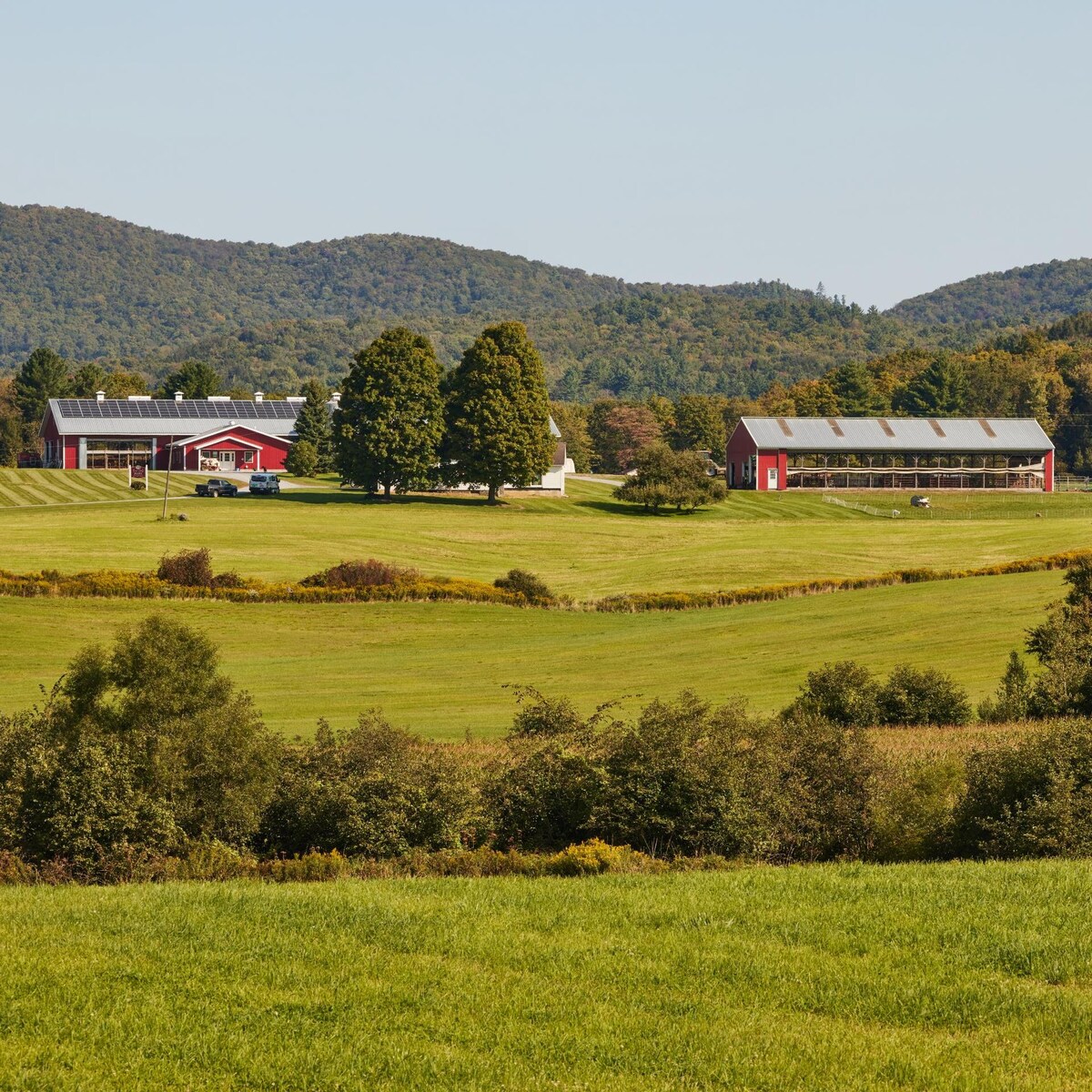 Ben & Jerry’s remains committed to Vermont dairy farmers.