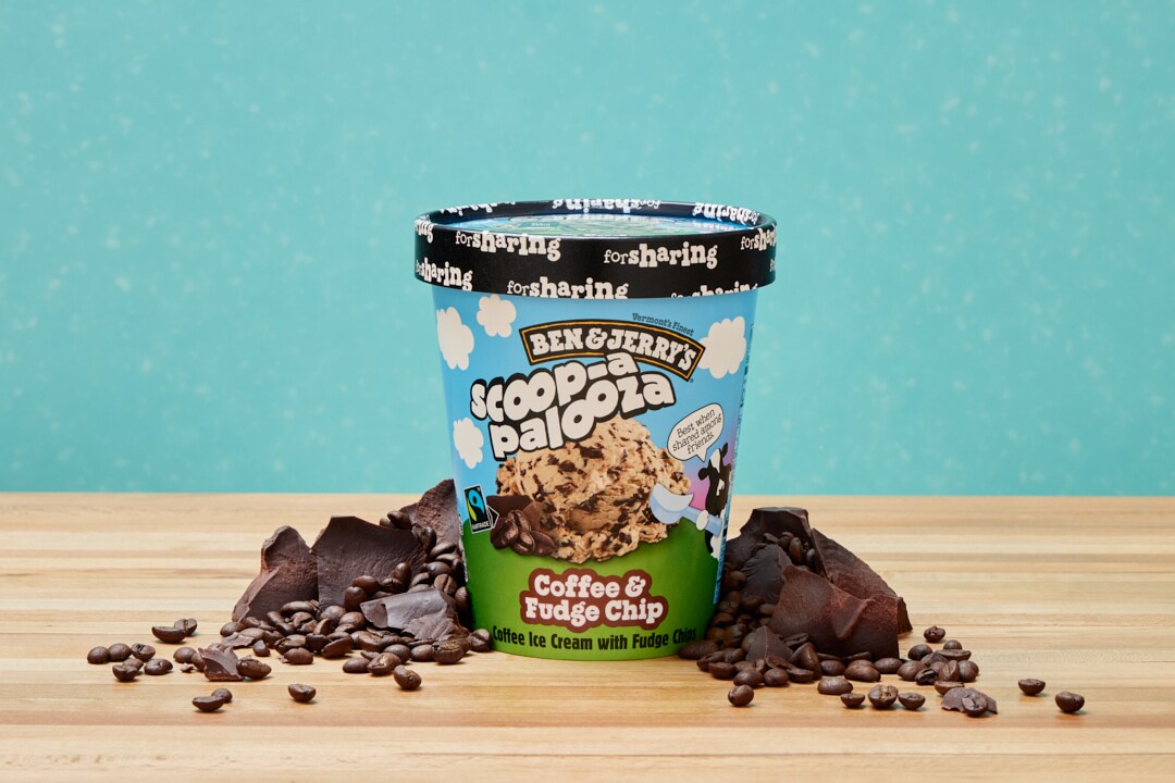 Ben & Jerry's Scoop-apalooza Coffee & Fudge Chip ice cream