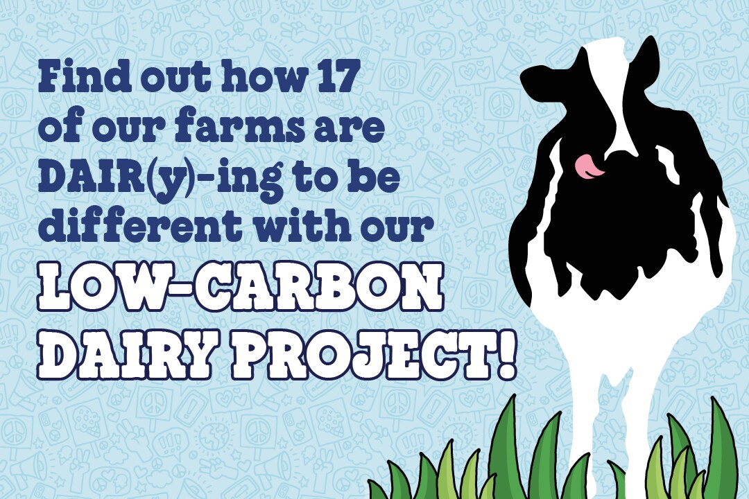 Cow illustration and text that reads: Find out how 17 of our farms are DAIR(y)-ing to be different with our Low-Carbon Dairy Project.