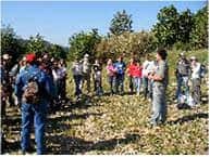 10_spain-service-2.jpg
