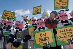 2.0_Jerry-with-cows-and-Capitol.jpg