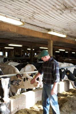 Farmer-and-cow.jpg