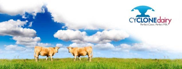 Clones-in-pasture.jpg