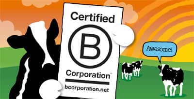 b-corp-header.jpg