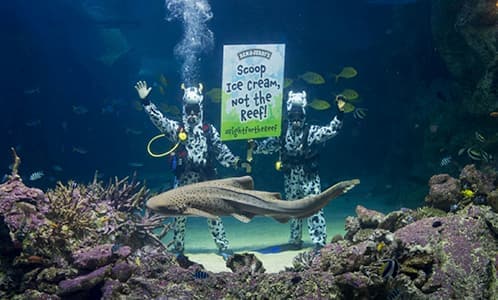 australia-barrier-reef.png