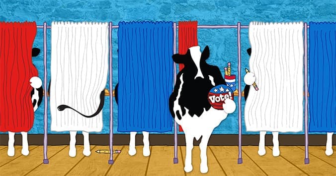woody-voting-booths-676x355.jpg (Print)