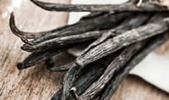 dried-vanilla-beans.png