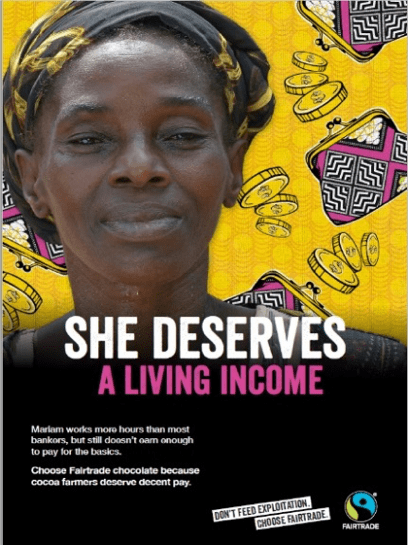 She Deserves A Living Income Poster
