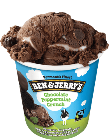 A Pint of Chocolate Peppermint Crunch