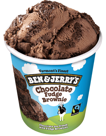 A Pint of Chocolate Fudge Brownie