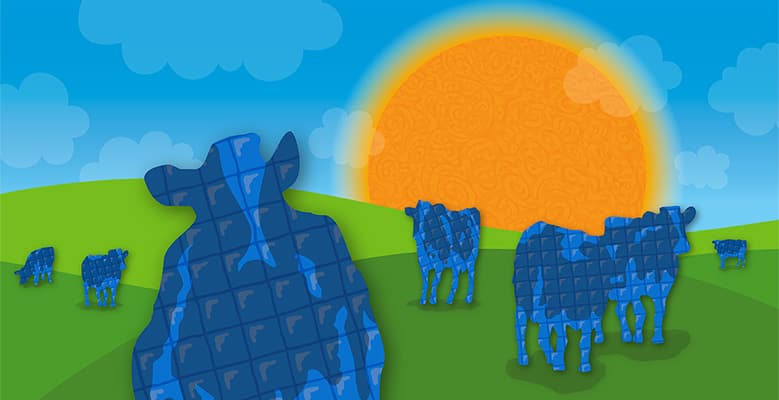 1887-solar-power-here-to-stay-779x400.jpg