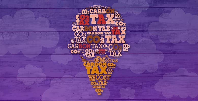 Ben & Jerry's announces internal company carbon tax