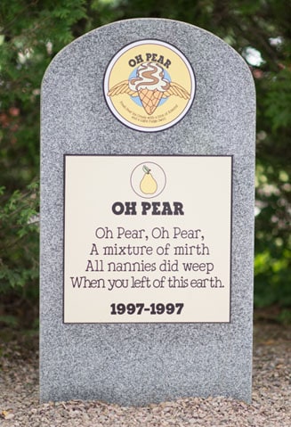 A Tombstone with RIP Ben & Jerry's Oh Pear
