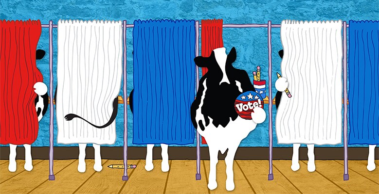 Woody at voting booth