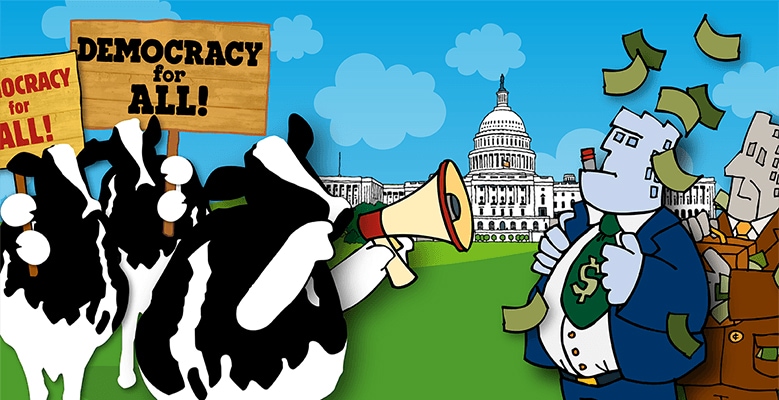 Democracy for all! Woody cow graphic.