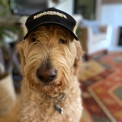 Charlie, dog