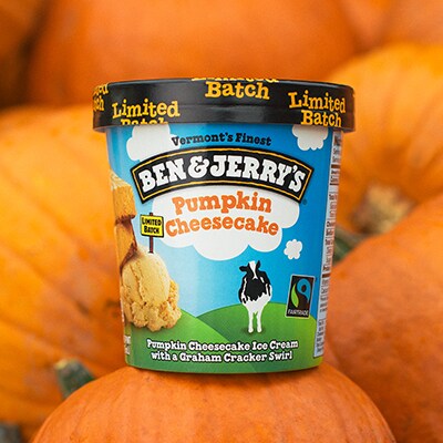 Pumpkin Cheesecake (seasonal)