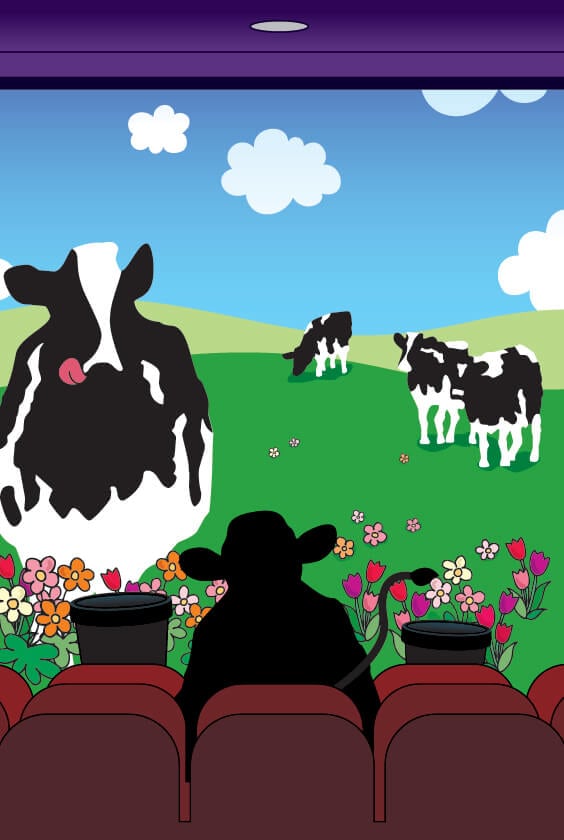 Woody & his cow Friends