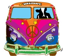 Woody in VW van