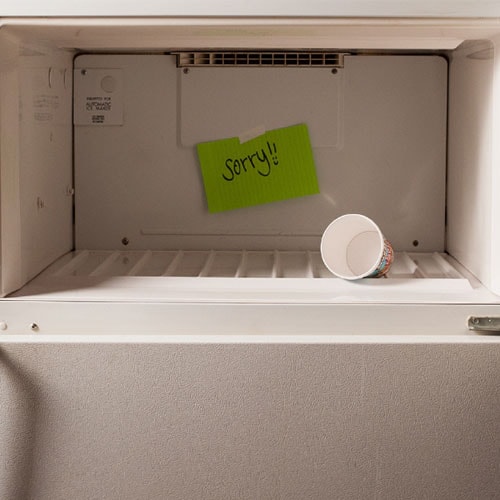 An Empty freezer, Sorry!