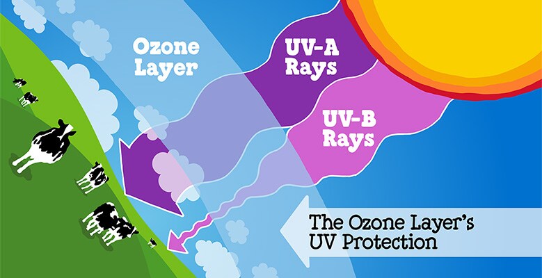 ozone-uva-uvb-graphic
