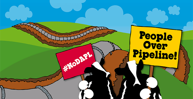 No Dakota Access Pipeline!