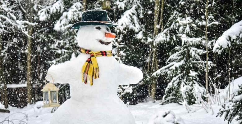 A cute snowman with hat and scarf