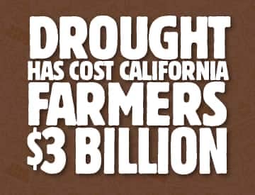drought costs california farmers 3 billion
