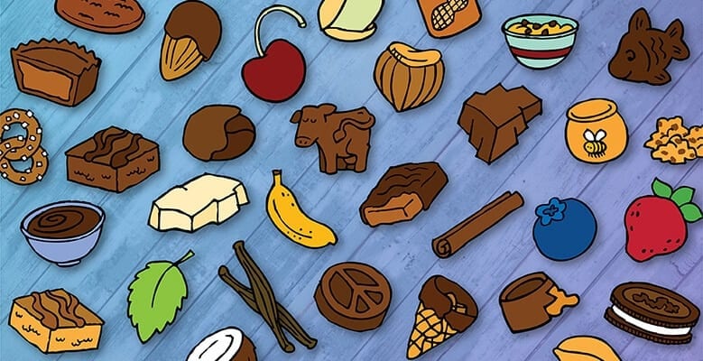 Cartoon of all the different chunks