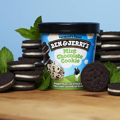 Mint Chocolate Cookie