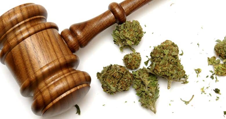 A gavel with marijuana
