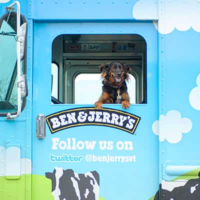 Dog in ice cream truck