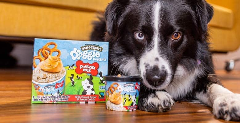 FAQ: All About Dogs, Ice Cream & Doggie Desserts, Ben & Jerry's