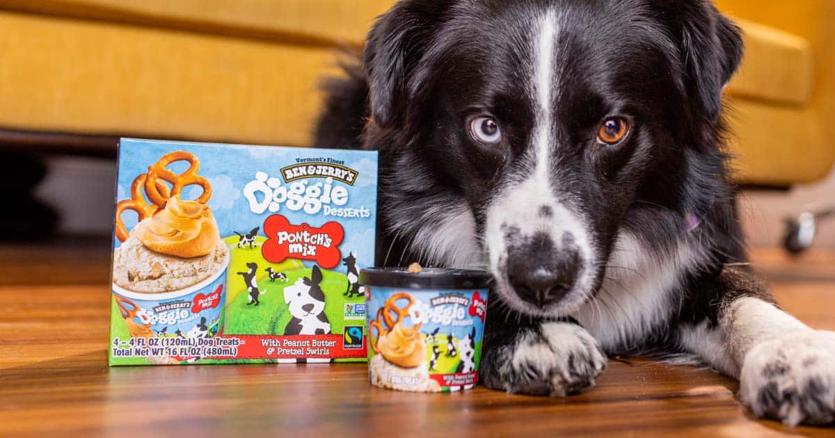 FAQ All About Dogs Ice Cream Doggie Desserts Ben Jerry s Ben Jerry s