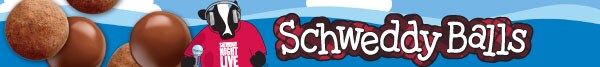 schweddy balls banner with malt balls