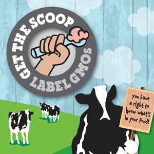 Get the Scoop - Label GMO
