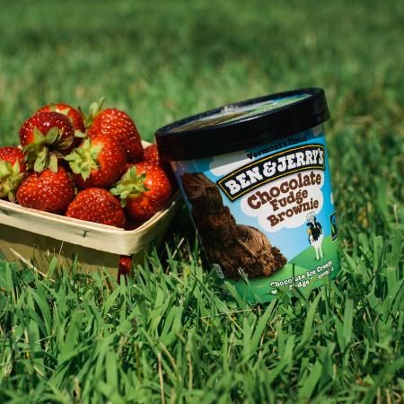A pint of Ben & Jerry's Chocolate Fudge Brownie with a bushel of strawberries in the grass